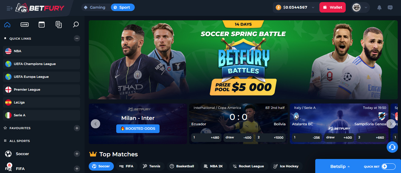 BetFury Sports Betting
