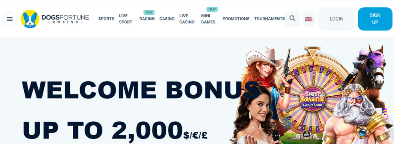 Dogsfortune Casino