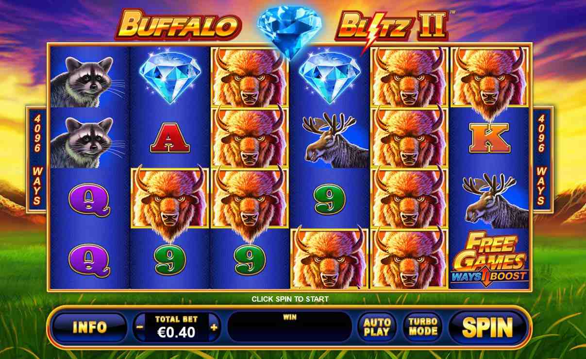 Buffalo Blitz