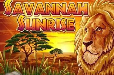 Savannah sunrise