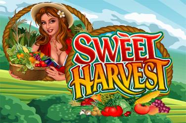 Sweet harvest