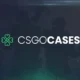 CSGOCases Review