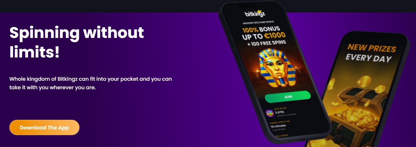 Bitkingz Casino Mobile Application